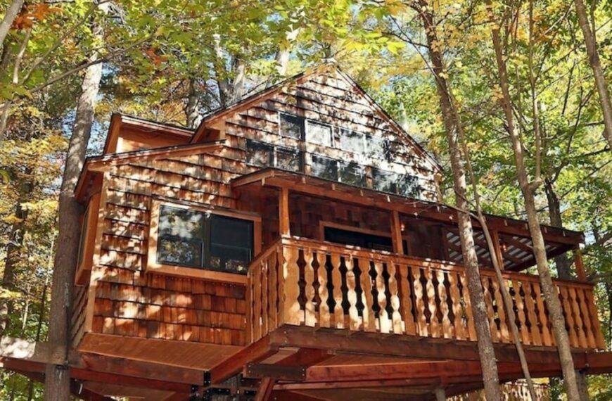 9 Of The Best Treehouses In The US and How To Rent Them For Less