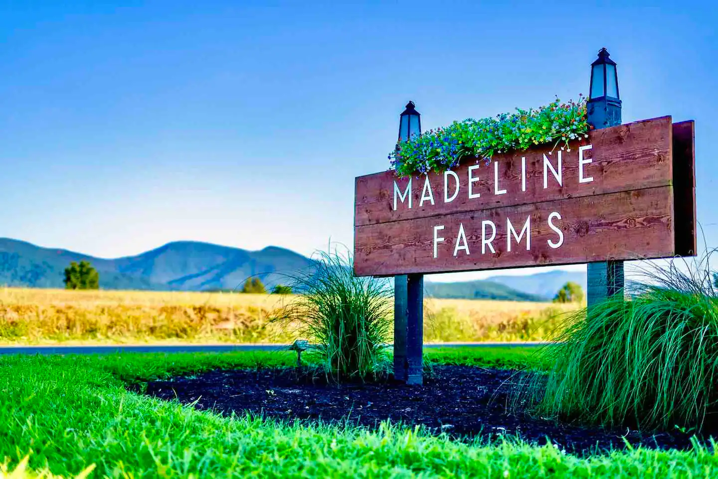 The Madeline Farms is an amazing stay.
