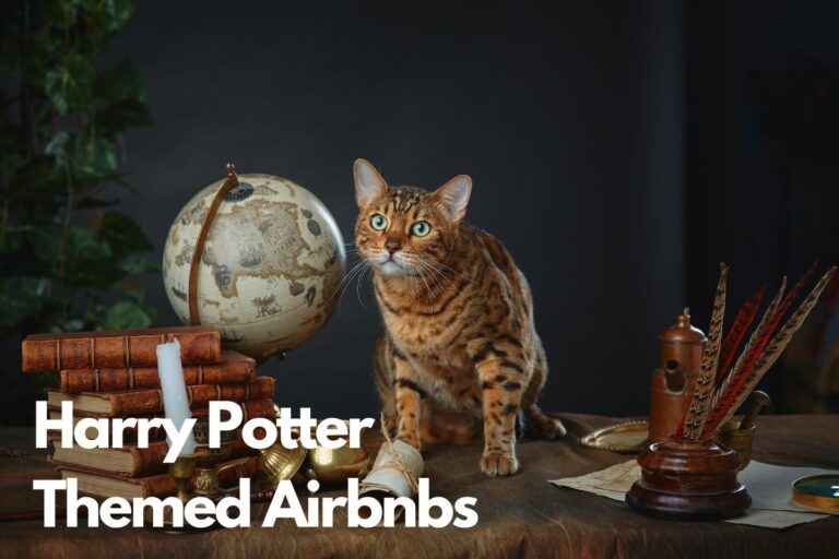 Harry Potter Airbnb Adventure: Stay in a Wizarding World Wonderland