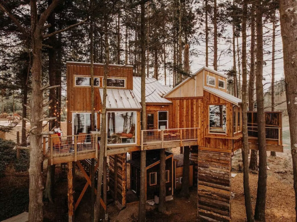 Top Pet-Friendly Airbnb Treehouse