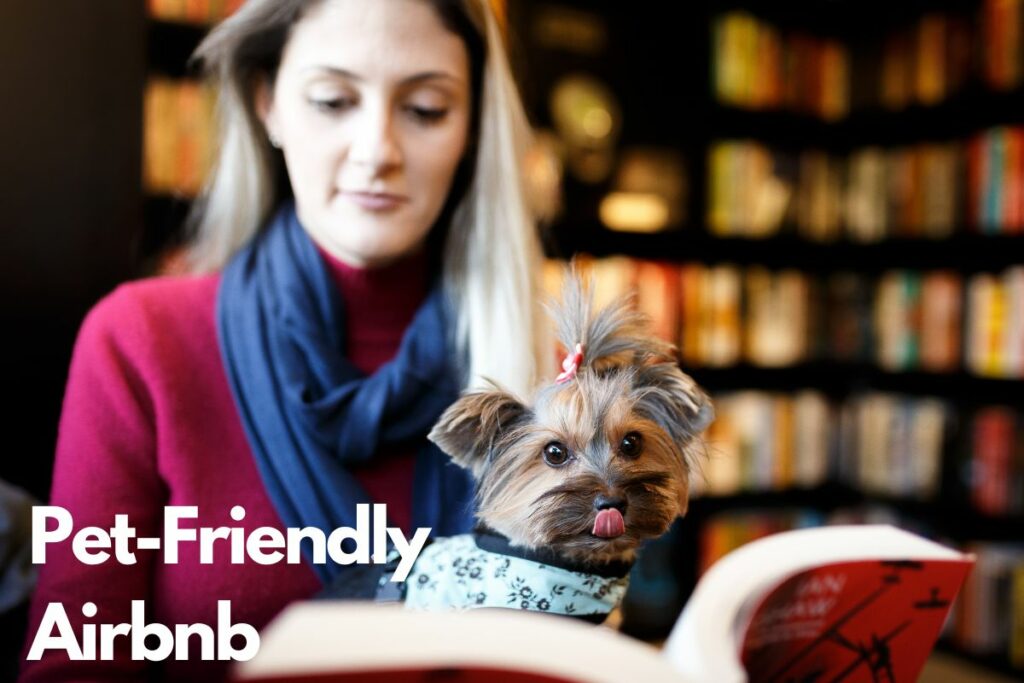 Pet-Friendly Airbnb In North Carolina Where Pets Are More Than Welcome!