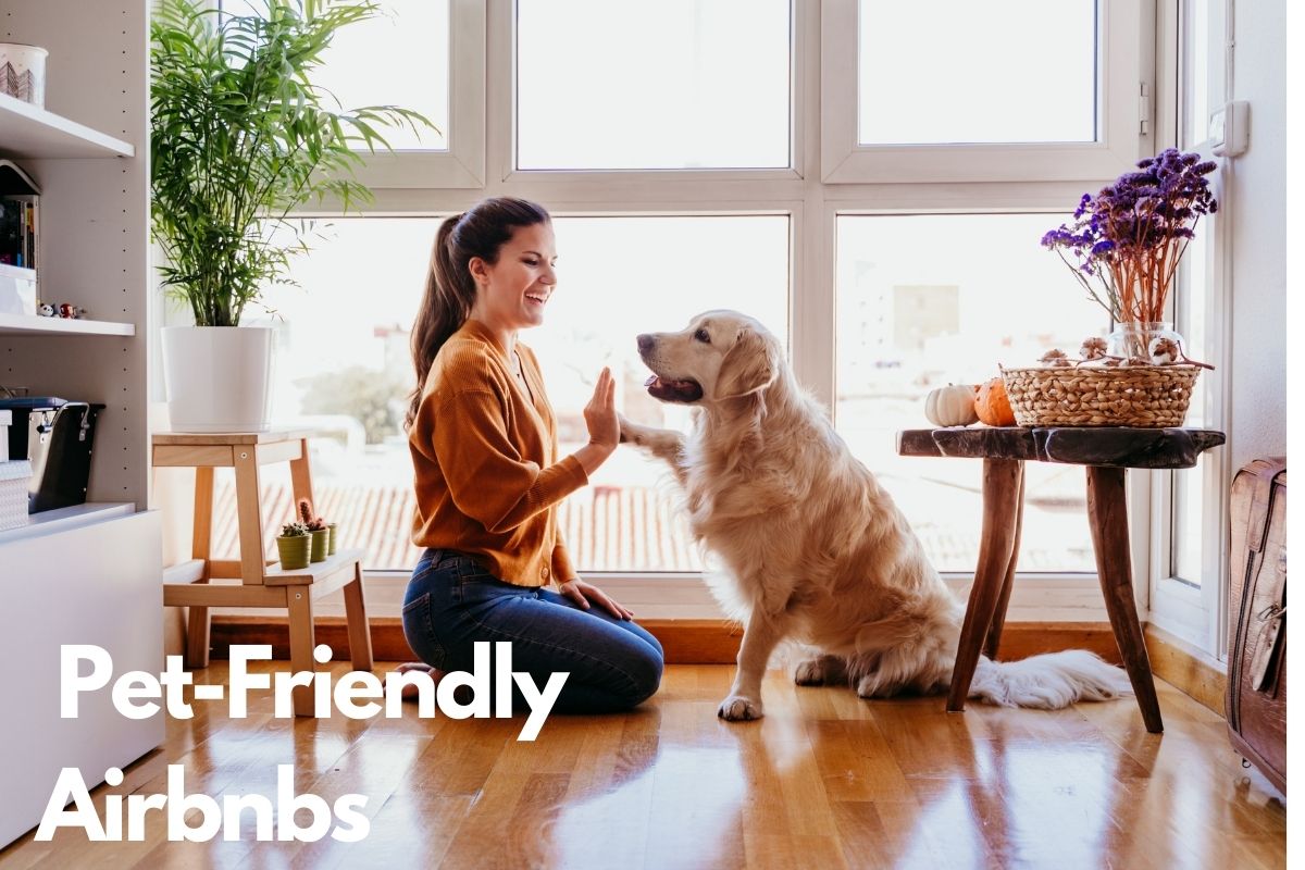 Pet Friendly Airbnb Homes