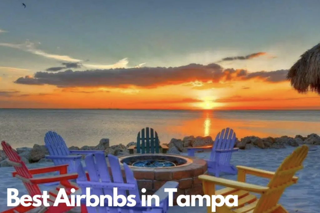 Best Airbnbs in Tampa