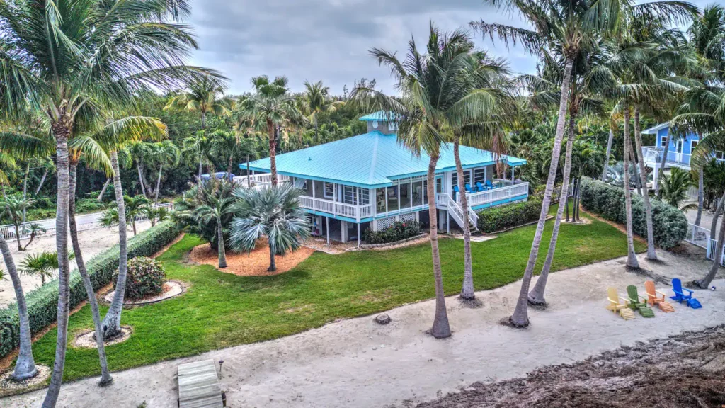 Aerial view of the back yard and your own beach with studded palm trees.
